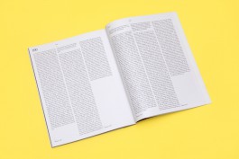 Io Sono - Andrea Guccini