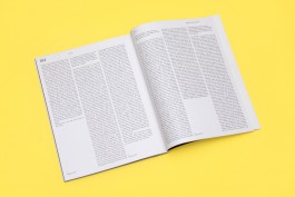 Io Sono - Andrea Guccini