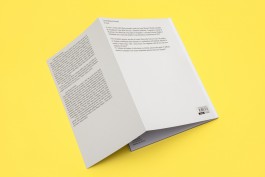 Io Sono - Andrea Guccini