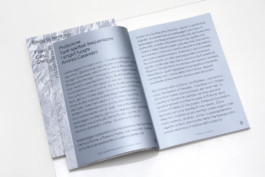 Biella - Andrea Guccini