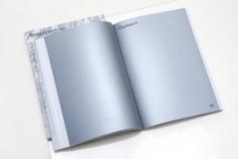 Biella - Andrea Guccini