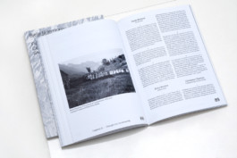 Biella - Andrea Guccini