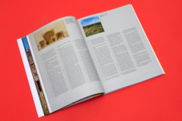 Palatino Contemporaneo - Andrea Guccini