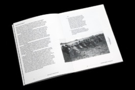 Andrea Guccini - Ridere Bellum