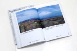 andrea-guccini-biella-libri