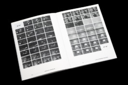 andrea-guccini-ridere-bellum