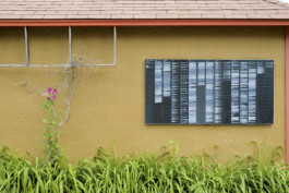 Studio Andrea Guccini