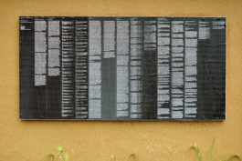 Studio Andrea Guccini